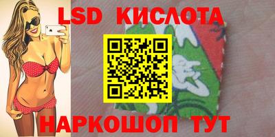 мяу мяу мука Краснознаменск