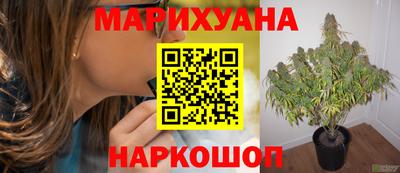 герыч Краснодар