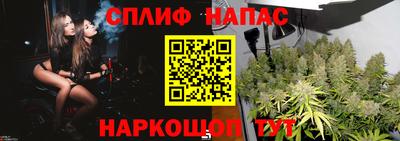 мяу мяу мука Краснознаменск
