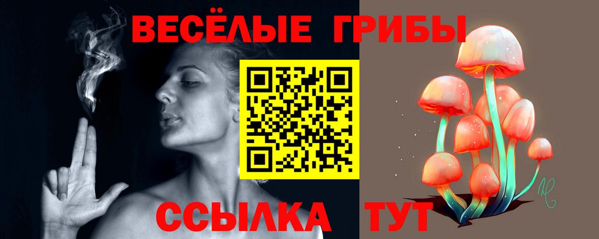 Галлюциногенные грибы ЛСД  Вход с VPN  Куйбышев 